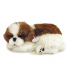 Peluche Cão Shih Tzu Perfect Petzzz