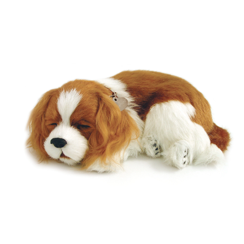 Peluche Cão Cavalier King Charles Perfect Petzzz