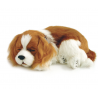 Peluche Cão Cavalier King Charles Perfect Petzzz