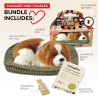 Peluche Cão Cavalier King Charles Perfect Petzzz