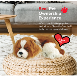 Peluche Cão Cavalier King Charles Perfect Petzzz