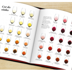 Bíblia do Vinho - O Guia Definitivo - Livro