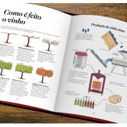 Bíblia do Vinho - O Guia Definitivo - Livro