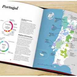 Bíblia do Vinho - O Guia Definitivo - Livro