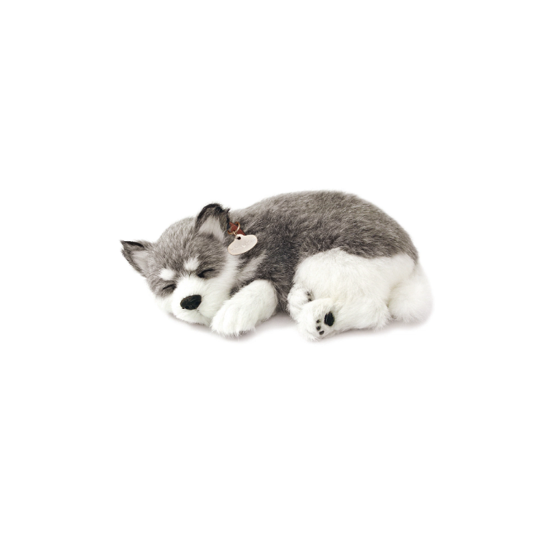 Peluche Cão Alaska Husky Perfect Petzzz