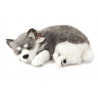 Peluche Cão Alaska Husky Perfect Petzzz