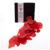 Pétalas vermelhas perfumadas com fragrância afrodisíaca