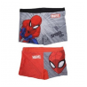 Calção Banho Boxer Spiderman City Sortido