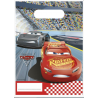 Sacos Festa Cars 3