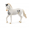 Garanhão cavalo Marwari Horse Club  Schleich 14898