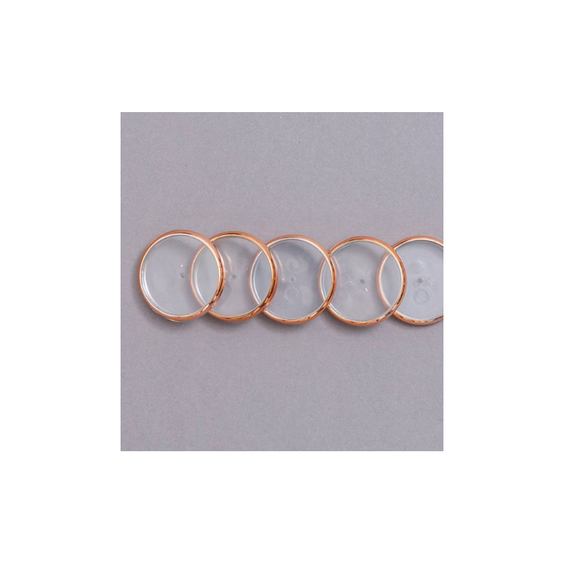 Discos e elástico rose gold G para o Caderno Inteligente