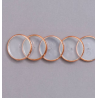 Discos e elástico rose gold G para o Caderno Inteligente