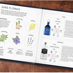 Bíblia do Gin - Livro