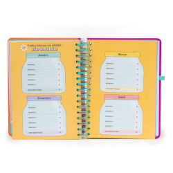 Agenda Wonder 2026 Diária - Continua a tentar