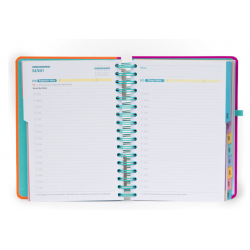 Agenda Wonder 2026 Diária - Continua a tentar