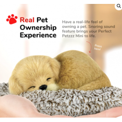 Peluche mini cão Golden Retriever Perfect Petzzz