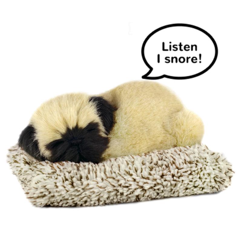 Peluche mini Pug Retriever Perfect Petzzz