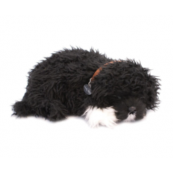 Peluche Cão De Agua...