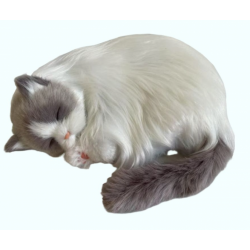Peluche Gato Ragdoll Cat...