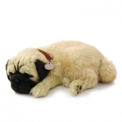Peluche Cão Pug Perfect Petzzz