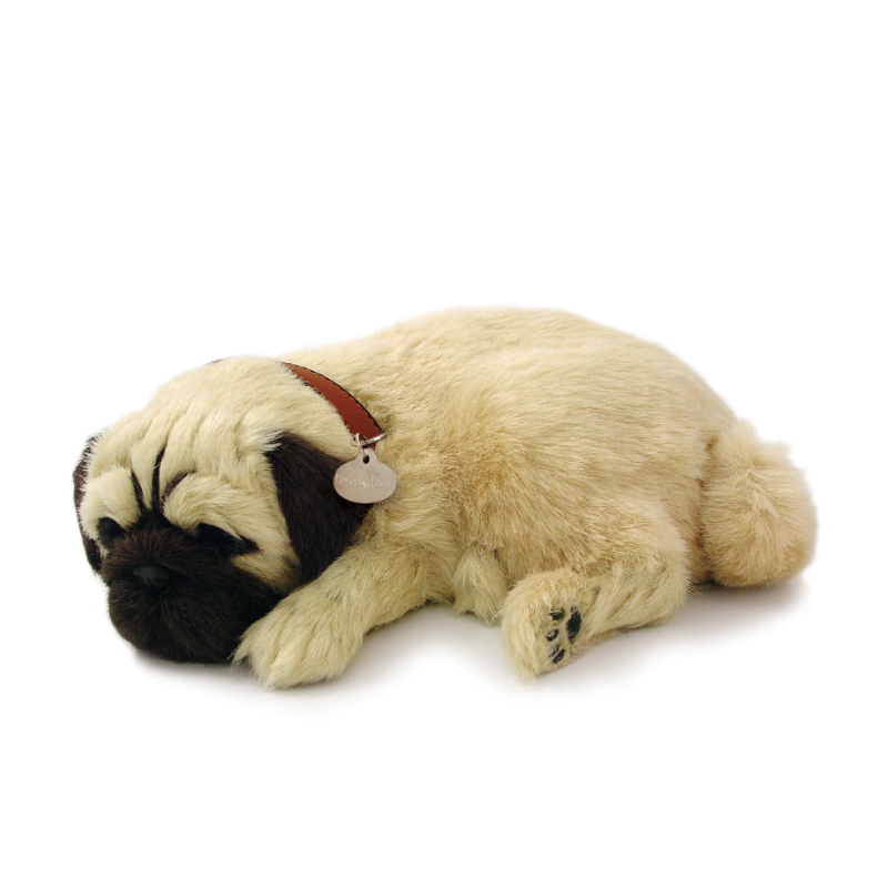 Peluche Cão Pug Perfect Petzzz