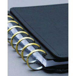 Discos e elástico dourado G para o Caderno Inteligente