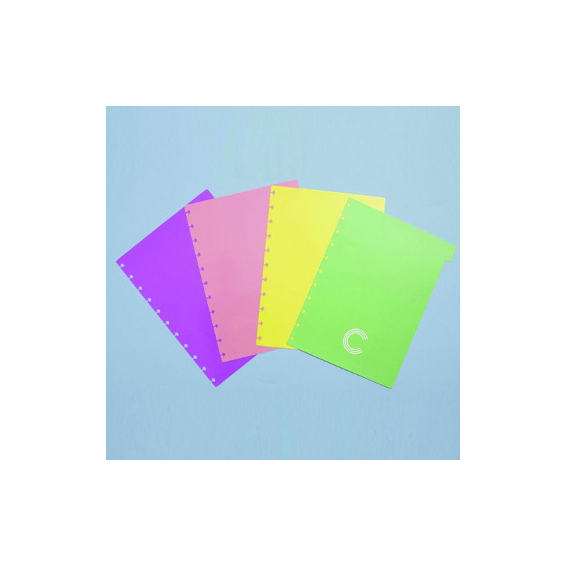 Separadores Pastel Grande para Caderno Inteligente
