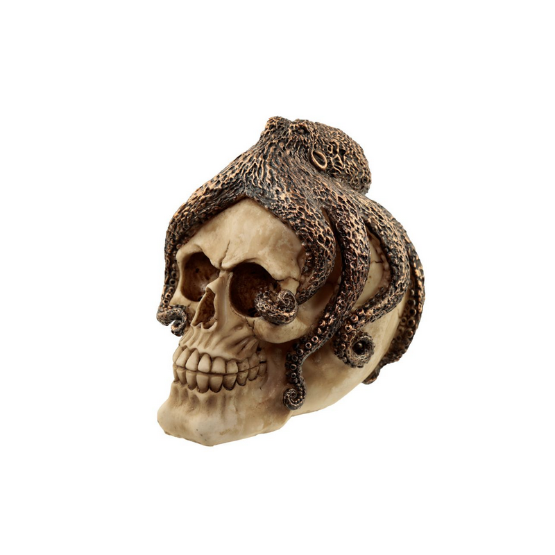 Caveira com Polvo Bronze